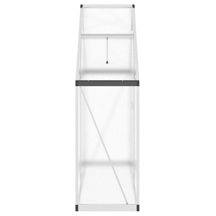 drivhus med fundamentramme 169x58x195 cm aluminium sølvfarvet