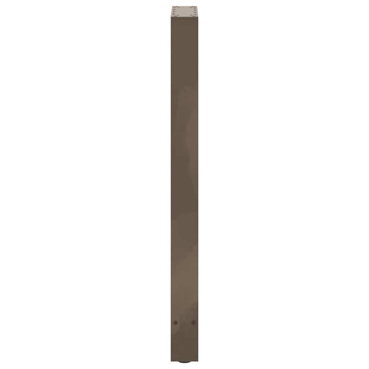 sofabordben naturstål 2 stk. 40x(100-101) cm stål