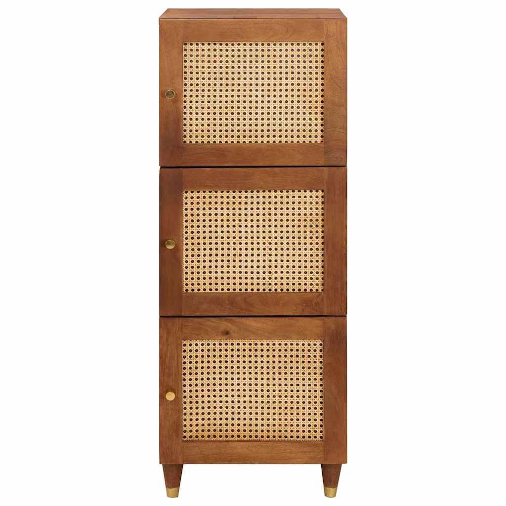 Høj skab Brun 40 x 33.5 x 110 cm Rattan og solid mango træ