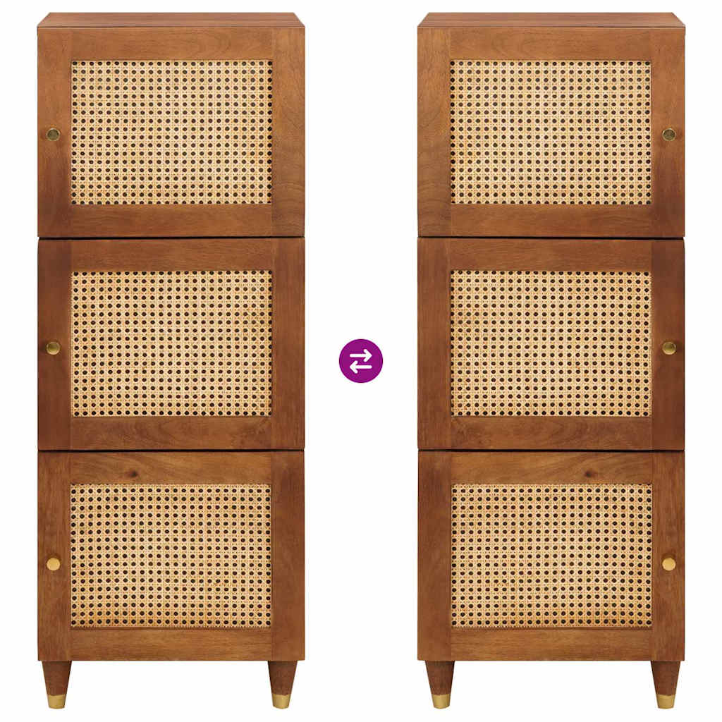 Høj skab Brun 40 x 33.5 x 110 cm Rattan og solid mango træ