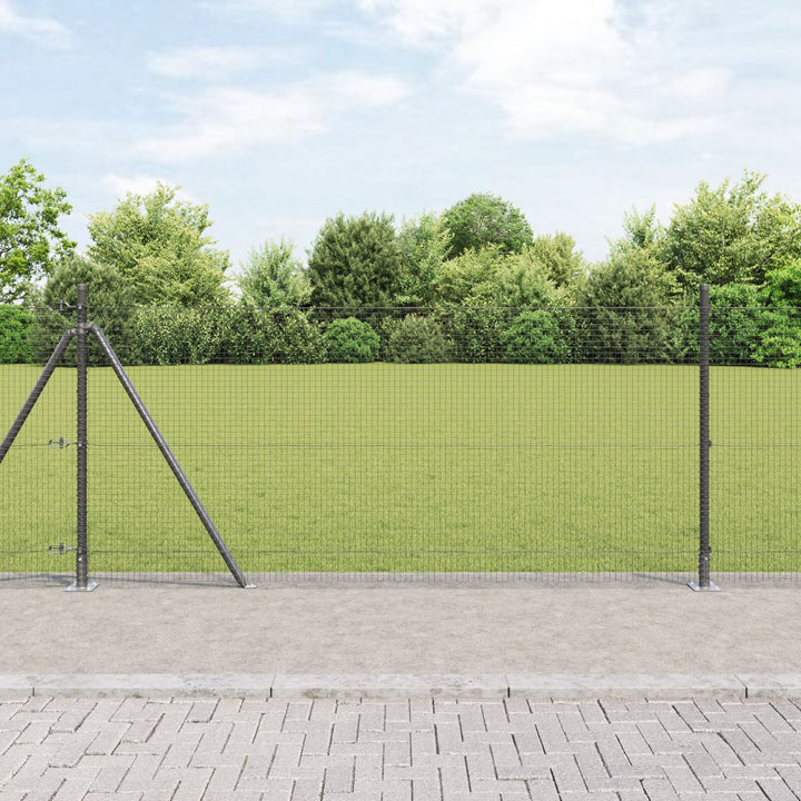 Svejsede Trådhegn med 13 Flangerede Stænger Grå 0.8x100 m Stål